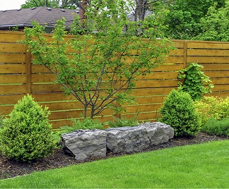 整えられた庭の様子